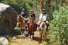 Morning Horse Ride in the Andes – Departing from Santiago